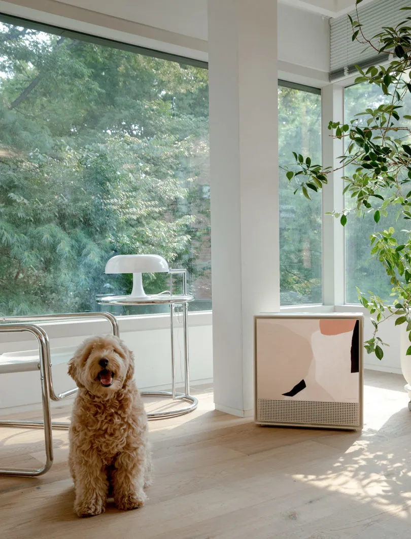 Coway – brand launch Europe, Wolf-Eike Galle, image 1
