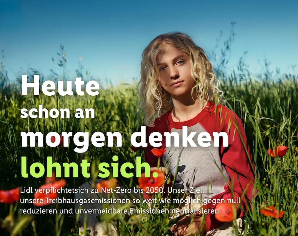 Lidl – synchronized brand platform, Wolf-Eike Galle, image 3