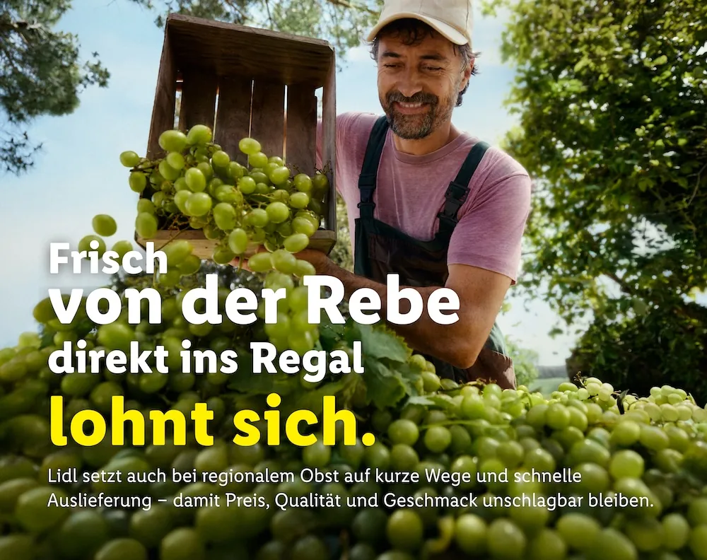 Lidl – synchronized brand platform, Wolf-Eike Galle, image 22